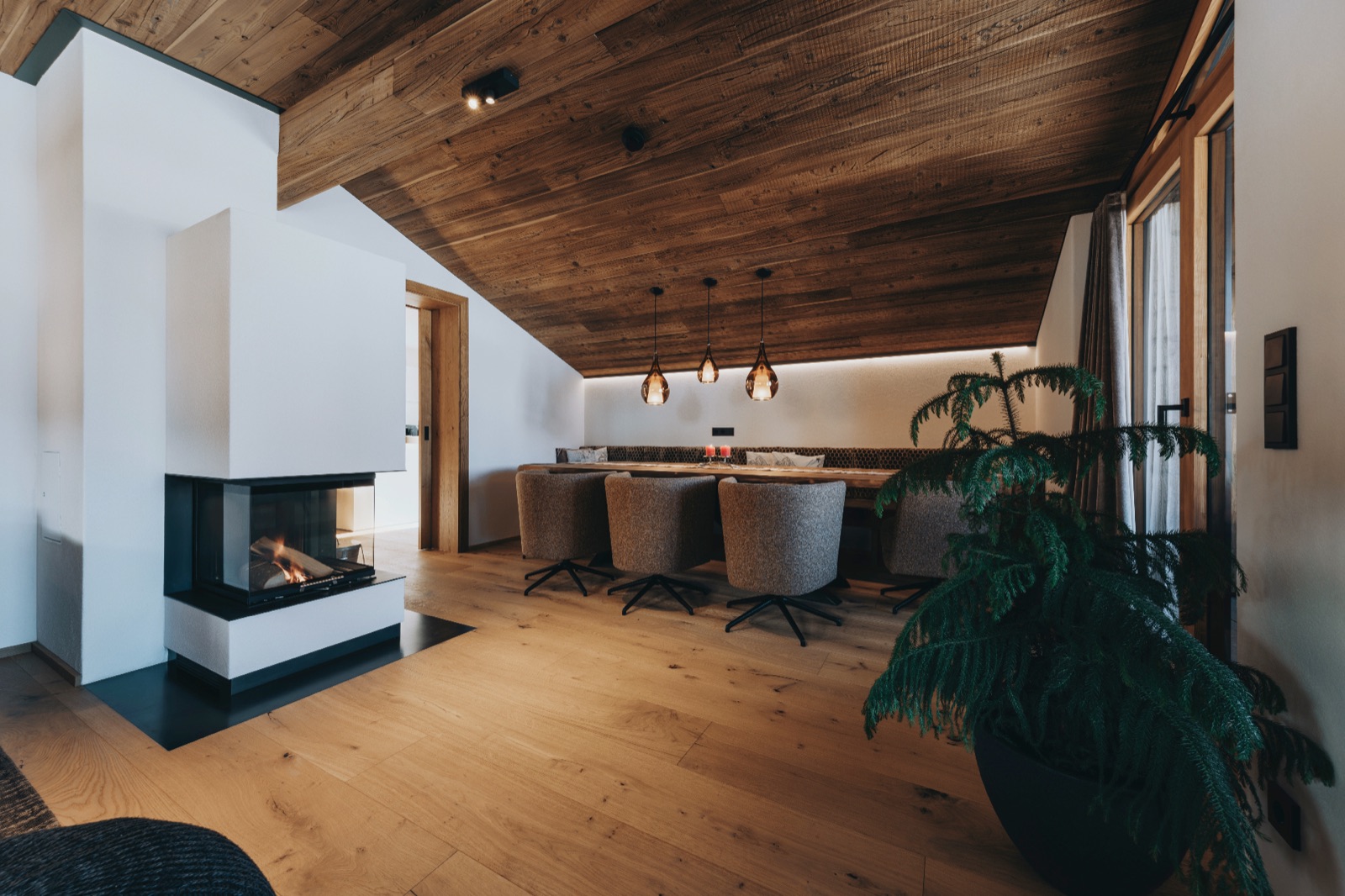 Coin repas avec plantes